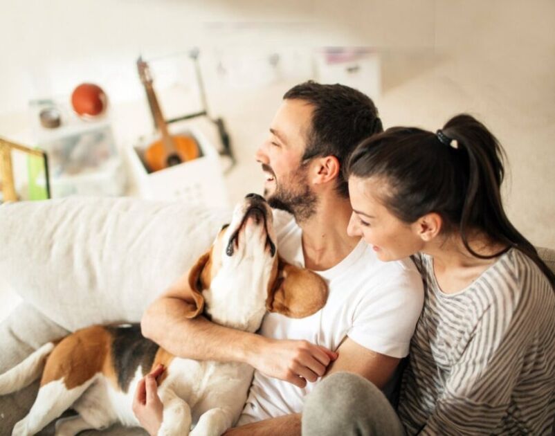 Accord Increases Maximum Mortgage Affordability 